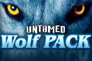 Untamed Wolf Pack