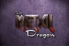 Full Metal Dragon