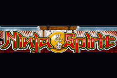 Ninja Spirit