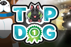Top Dog