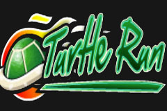 Turtle Run